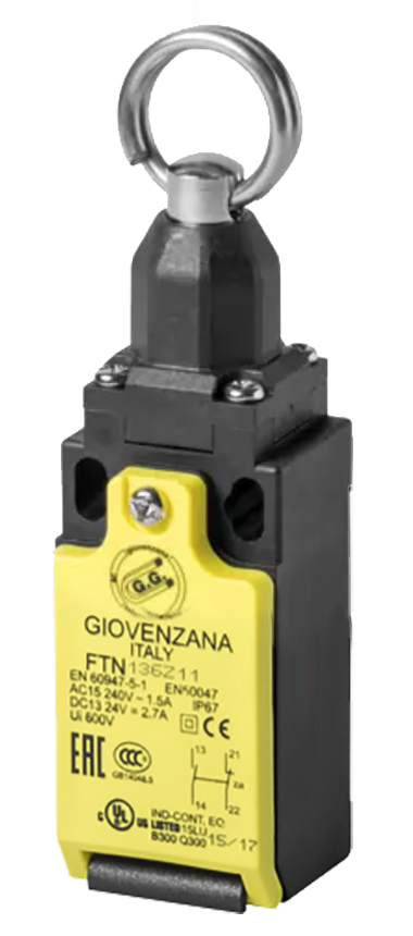 Giovenzana FTN198