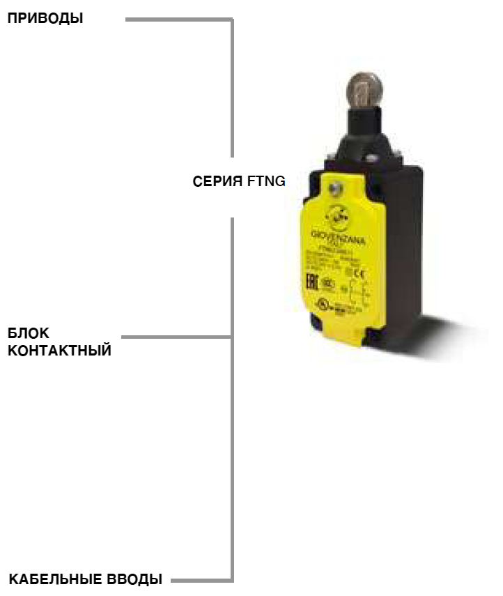 Giovenzana серия FTNG